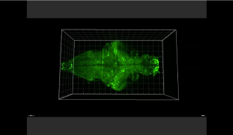 Biological Nonlinear Dynamics Data Science Unit